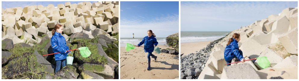 Kustversterking Cadzand-Bad