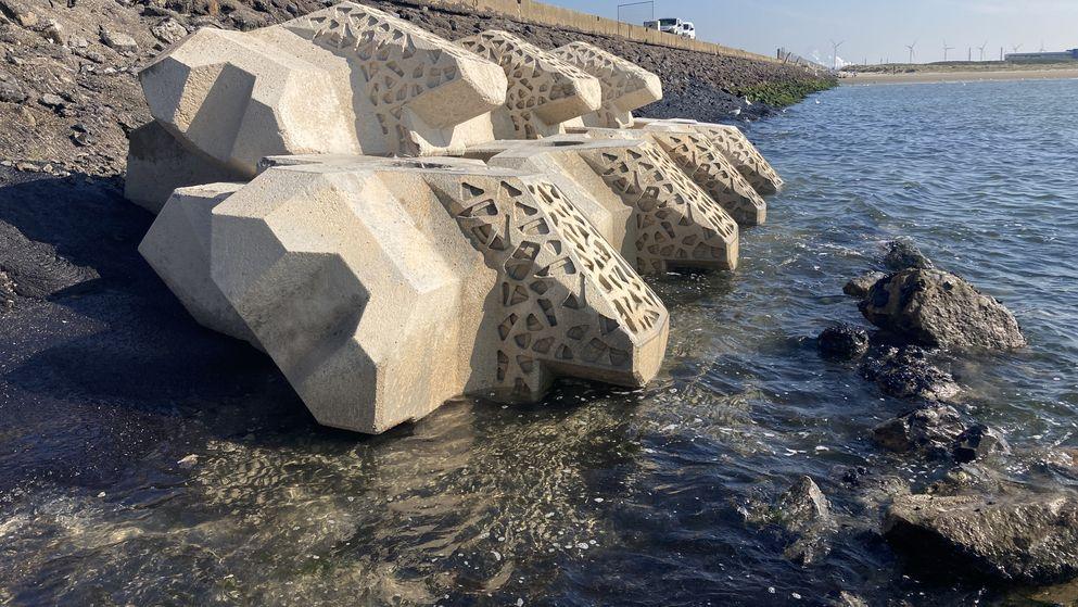 Xbloc: duurzame beschermer tegen de zee en fantastische plek voor planten en dieren 