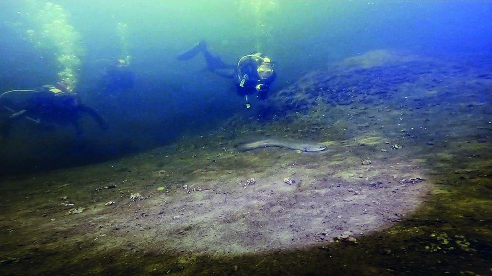 amsterdamse kademuren biodiversiteit duurzaam onderwaterleven Xstream blokken