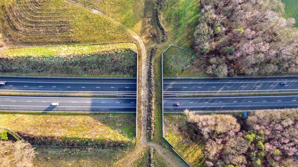 Ecoduct Koekendaal 
